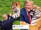 Uomo sbranato da una tigre, Trump posta il video: "Non si scherza con la natura". Poi pubblica la parodia con IA