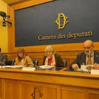Sanità, neurologo Gasperini: &quot;Intergruppo sclerosi multipla per dare risposte ai pazienti&quot;