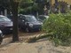 Maltempo a Roma, ramo cade fuori liceo a Coppedè: feriti 3 studenti