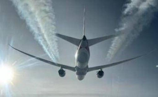 Cimici dei letti a bordo di un aereo proveniente dall'Australia, volo Qantas fermato a Fiumicino: cos'è successo Cimici dei letti a bordo di un aereo proveniente dall'Australia, volo Qantas fermato a Fiumicino: cos'è successo