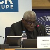 Ue, card. Sarah: "No a colonizzazione ideologica Africa, ma sussidiarietà autentica"