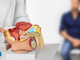 Tumore prostata ad alto rischio recidiva, nuova terapia riduce del 58% rischio morte o metastasi Tumore prostata ad alto rischio recidiva, nuova terapia riduce del 58% rischio morte o metastasi