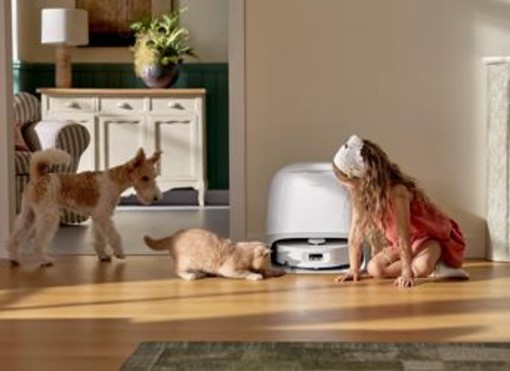 Animali, sondaggio Roborock rivela come cambia l'igiene domestica per i pet parent italiani Animali, sondaggio Roborock rivela come cambia l'igiene domestica per i pet parent italiani