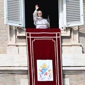 Papa Leone XIV "non dovrà sottoporsi a immunoterapia" Papa Leone XIV "non dovrà sottoporsi a immunoterapia"