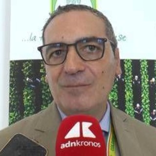 Coldiretti-Philip Morris, Cerreto (Fdi): &quot;Accordo strategico per il rilancio della filiera e la tutela delle imprese&quot;