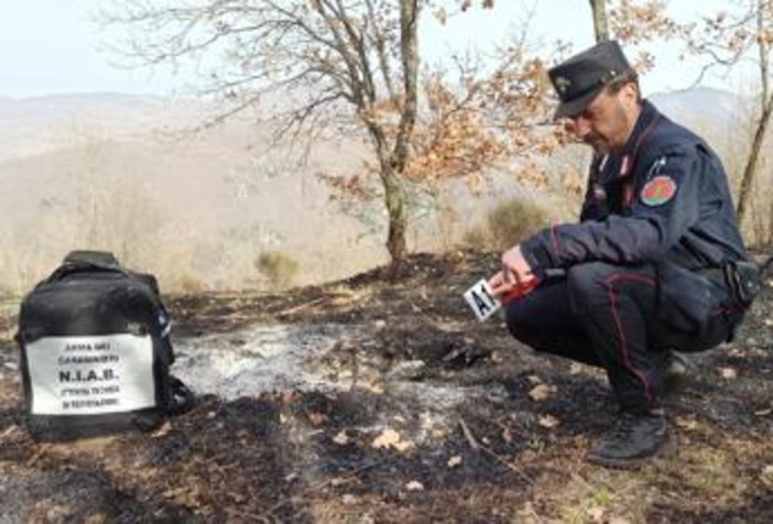 Incendi, Carabinieri Forestali: "98% causati dall'uomo, in primi 6 mesi 3800 ettari bruciati" Incendi, Carabinieri Forestali: "98% causati dall'uomo, in primi 6 mesi 3800 ettari bruciati"