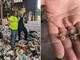 "Ho buttato due anelli tra i rifiuti", li ritrova nella discarica: 'miracolo' a New York "Ho buttato due anelli tra i rifiuti", li ritrova nella discarica: 'miracolo' a New York