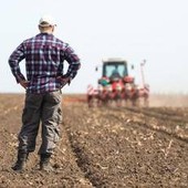 Gli offrono 700mila euro, ma un agricoltore rifiuta e non vende il suo terreno Gli offrono 700mila euro, ma un agricoltore rifiuta e non vende il suo terreno