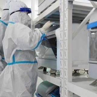 Dalla 'morte nera' del passato alla peste di oggi: cos'è la forma polmonare