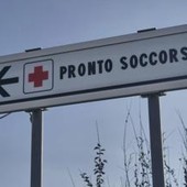 Due bambine azzannate da un cane randagio a Bari: una è in rianimazione Due bambine azzannate da un cane randagio a Bari: una è in rianimazione