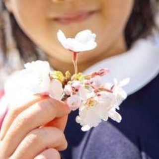 È il primo giorno di primavera, ecco perché l'equinozio cade oggi 20 marzo