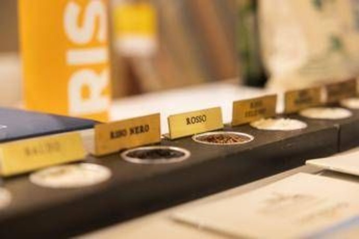 Agroalimentare, Ismea a Risò a Vercelli dall’11 al 13 settembre ﻿