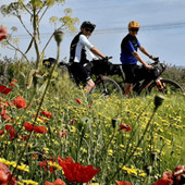 Medicina personalizzata, in bici sulla via Francigena per prevenzione e ricerca contro il cancro