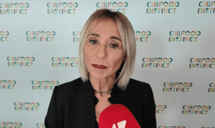 Nasi (Cirfood): "Gare d'appalto nella ristorazione collettiva devono essere economicamente sostenibili" Nasi (Cirfood): "Gare d'appalto nella ristorazione collettiva devono essere economicamente sostenibili"