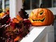 Zucca e semi di zucca: il lato sorprendente (e sano) di Halloween