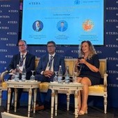 Lavoro: Teha, serve strategia nazionale per attrarre e valorizzare i talenti