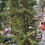 Bomba d'acqua su Roma, il maltempo colpisce la capitale dopo mesi di afa record