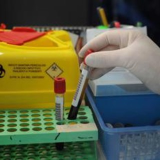 Sanità, nuovo tariffario, Medicina di laboratorio: "Oltre 70% scelte cliniche dipende da analisi"