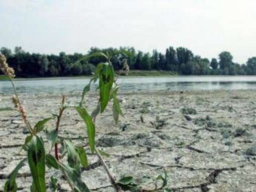 Agosto mese più caldo mai registrato, estate più rovente di sempre per l'Europa occidentale Agosto mese più caldo mai registrato, estate più rovente di sempre per l'Europa occidentale