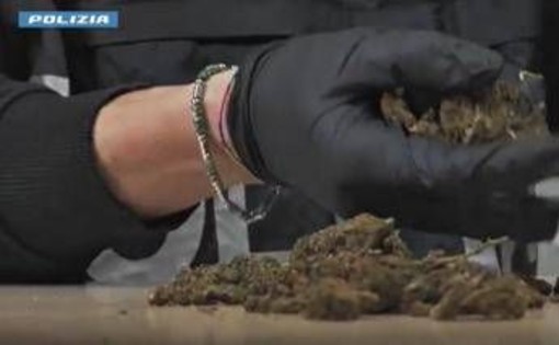 Maxi operazione della polizia: 1.335 arresti, sequestrati 450 kg di droga