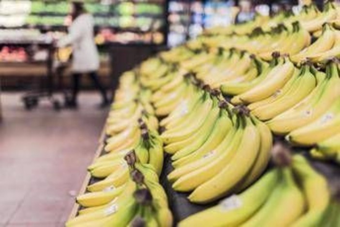 Banana tra potassio e rischio glicemia, meglio acerba o matura? Cosa dice l'esperto Banana tra potassio e rischio glicemia, meglio acerba o matura? Cosa dice l'esperto