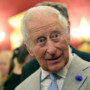 Harry torna nel Regno Unito: "Carlo costretto a delicato gioco di equilibri con William"
