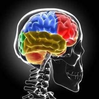 Scoperto nuovo meccanismo sviluppo sclerosi multipla, studio italiano Scoperto nuovo meccanismo sviluppo sclerosi multipla, studio italiano