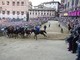 Palio di Siena, Tittia fa 13: ecco chi è il fantino che ha fatto trionfare il Nicchio Palio di Siena, Tittia fa 13: ecco chi è il fantino che ha fatto trionfare il Nicchio