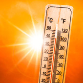 Caldo record e cambio armadio? 5 trucchi per farlo risparmiando in bolletta Caldo record e cambio armadio? 5 trucchi per farlo risparmiando in bolletta