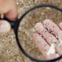 Microplastiche e salute della donna, Fondazione Sigo avvia percorso informativo