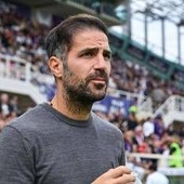 Serie A, oggi Torino-Como: orario, probabili formazioni e dove vederla