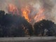 Francia e Spagna in ginocchio per gli incendi, Macron schiera l'esercito Francia e Spagna in ginocchio per gli incendi, Macron schiera l'esercito