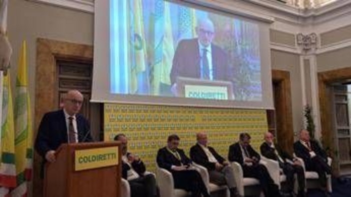 Tabacco, Rapporto Maciste: per mercato illecito rapida trasformazione digitale