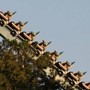 Usa, incidente sulle montagne russe al parco divertimenti in Georgia: 1 morto e numerosi feriti