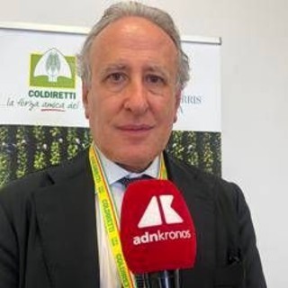 Tabacco, Lorito (Federico II): &quot;La filiera integrata è la chiave per i territori, i giovani e il rilancio dell'agricoltura&quot;