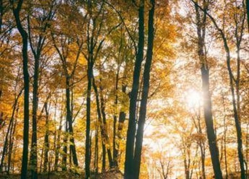 Il maltempo molla la presa, torna l'anticiclone e salgono le temperature: la tendenza dei prossimi giorni