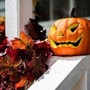 Zucca e semi di zucca: il lato sorprendente (e sano) di Halloween Zucca e semi di zucca: il lato sorprendente (e sano) di Halloween