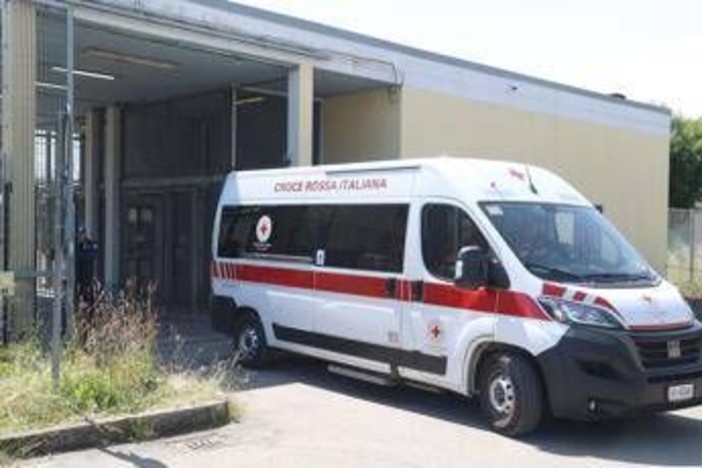 Paura sulla Via degli Dei, escursionista punta da un imenottero: shock anafilattico e soccorso d'urgenza Paura sulla Via degli Dei, escursionista punta da un imenottero: shock anafilattico e soccorso d'urgenza