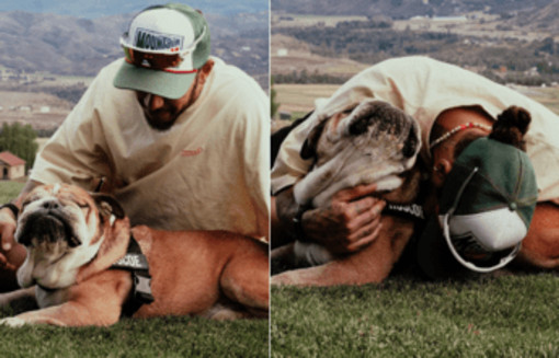 Hamilton, è morto il cane Roscoe: &quot;La decisione più difficile della mia vita&quot;