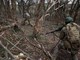 Ucraina: mobilitazione, raid e ruolo della Bielorussia. Mosca prepara nuova escalation?