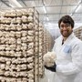 Barilla, selezionate le tre startup vincitrici di Good Food Makers