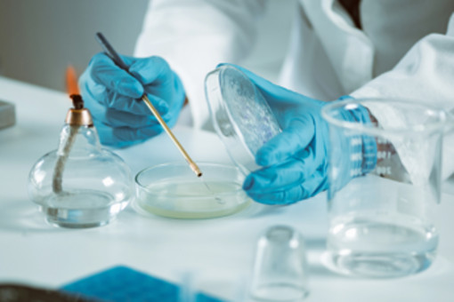 Linfoma mantellare, 'con trattamento chemio-free in prima linea -43% rischio di progressione o morte' Linfoma mantellare, 'con trattamento chemio-free in prima linea -43% rischio di progressione o morte'