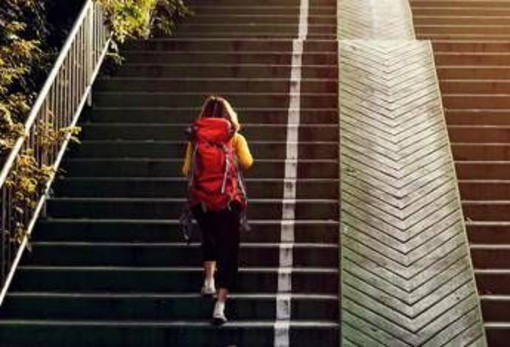 Giù rischio infarti e ictus, ecco perché fare le scale allunga la vita: lo studio Giù rischio infarti e ictus, ecco perché fare le scale allunga la vita: lo studio