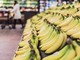 Banana tra potassio e rischio glicemia, meglio acerba o matura? Cosa dice l'esperto Banana tra potassio e rischio glicemia, meglio acerba o matura? Cosa dice l'esperto