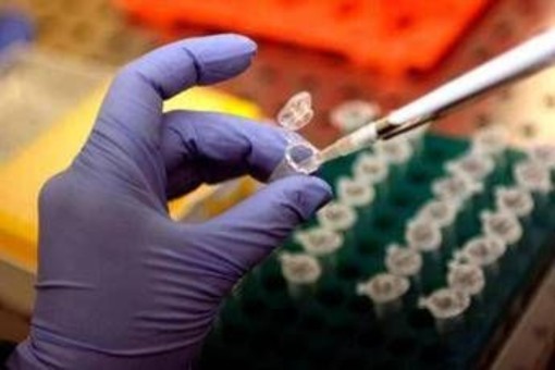 Cancro alla prostata, Dna potrebbe svelare rischio basso o alto: lo studio Cancro alla prostata, Dna potrebbe svelare rischio basso o alto: lo studio