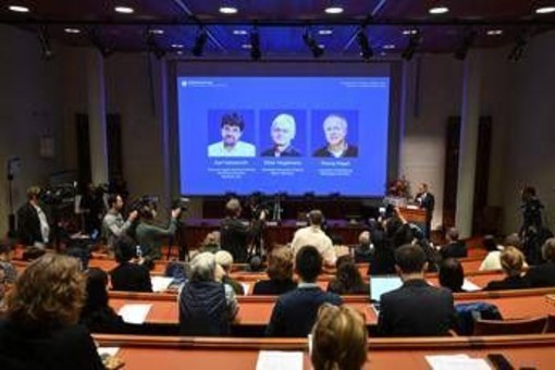 Nobel per la Medicina, scienziata amica dei vincitori: "La forza della curiosità li ha spinti controcorrente" Nobel per la Medicina, scienziata amica dei vincitori: "La forza della curiosità li ha spinti controcorrente"