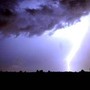Maltempo, forte temporale sulla Romagna: allagamenti e alberi caduti