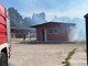 Treviso, incendio all'ippodromo Sant’Artemio: sei cavalli muoiono tra le fiamme Treviso, incendio all'ippodromo Sant’Artemio: sei cavalli muoiono tra le fiamme