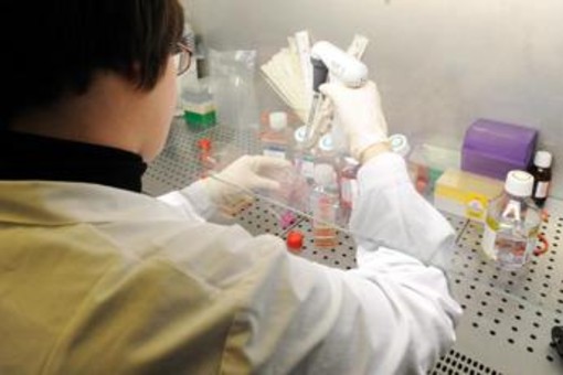 Bambina morta a Palermo, Istituto Superiore di Sanità: "Campione positivo al batterio della difterite" Bambina morta a Palermo, Istituto Superiore di Sanità: "Campione positivo al batterio della difterite"