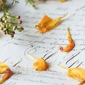 Lettera d'addio all'Elba... di 29 anni fa: "Non ci vedremo più amica mia" Lettera d'addio all'Elba... di 29 anni fa: "Non ci vedremo più amica mia"